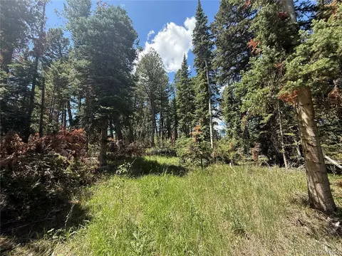 Spring Creek Ranch Rd, Silverthorne, CO 80498 photo 14
