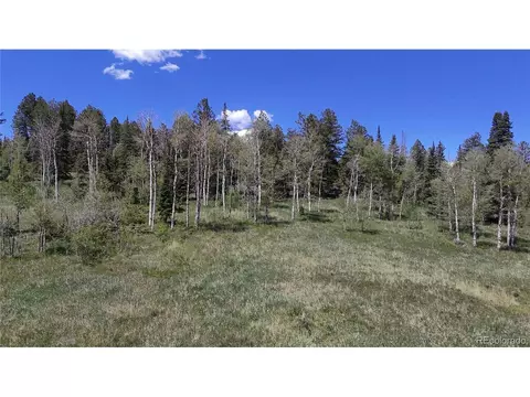 Spring Creek Ranch Rd, Silverthorne, CO 80498 photo 19
