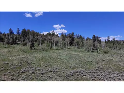 Spring Creek Ranch Rd, Silverthorne, CO 80498 photo 18