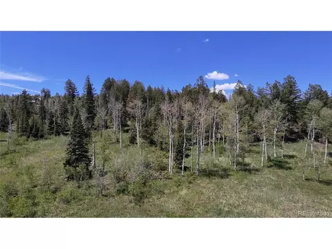 Spring Creek Ranch Rd, Silverthorne, CO 80498 photo 23