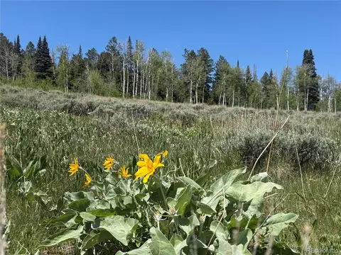 Spring Creek Ranch Rd, Silverthorne, CO 80498 photo 27