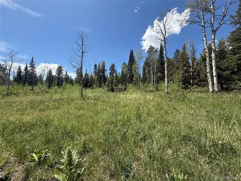 Spring Creek Ranch Rd, Silverthorne, CO 80498 photo 12