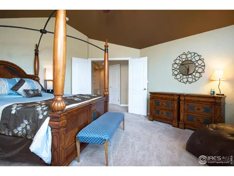 5447 Tiller Ct, Windsor, CO 80528 photo 21