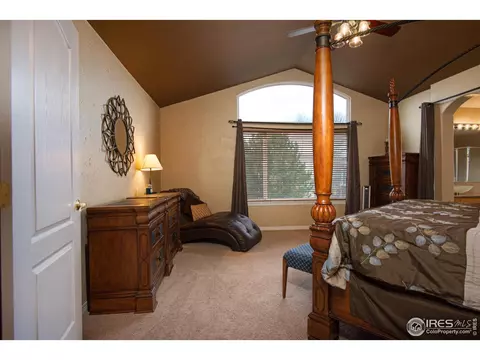 5447 Tiller Ct, Windsor, CO 80528 photo 22
