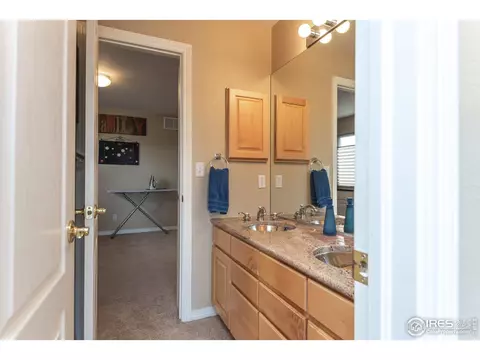 5447 Tiller Ct, Windsor, CO 80528 photo 26