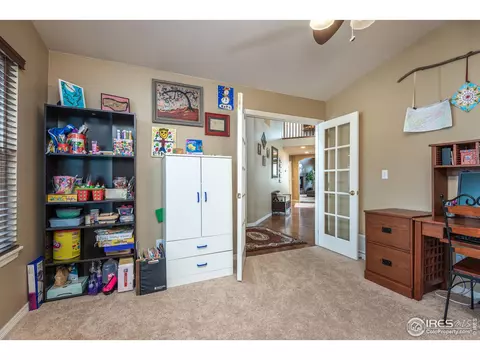 5447 Tiller Ct, Windsor, CO 80528 photo 17