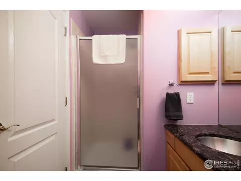 5447 Tiller Ct, Windsor, CO 80528 photo 30
