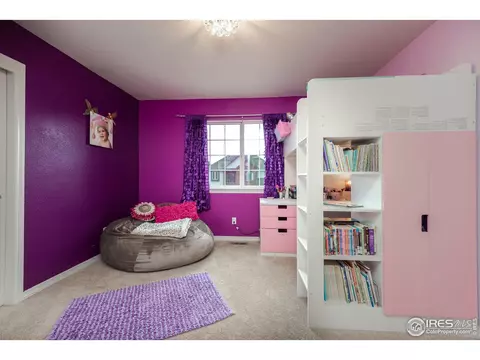 5447 Tiller Ct, Windsor, CO 80528 photo 28