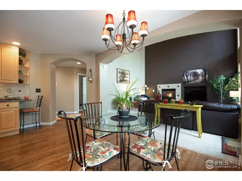 5447 Tiller Ct, Windsor, CO 80528 photo 12
