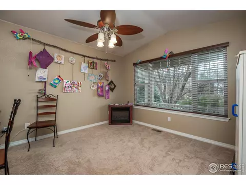 5447 Tiller Ct, Windsor, CO 80528 photo 18