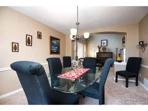 5447 Tiller Ct, Windsor, CO 80528 photo 8