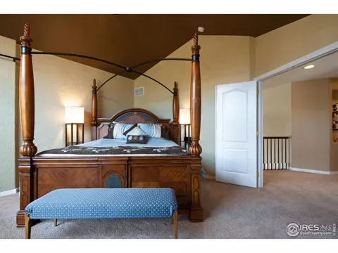 5447 Tiller Ct, Windsor, CO 80528 photo 20