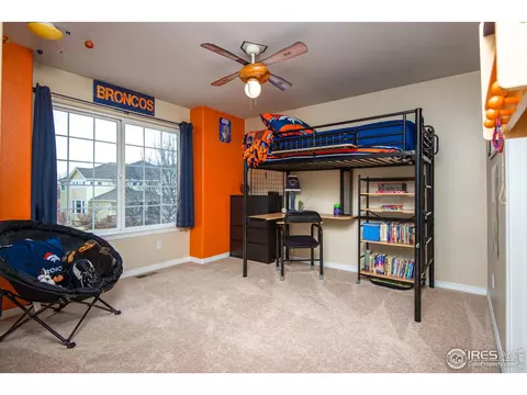 5447 Tiller Ct, Windsor, CO 80528 photo 25