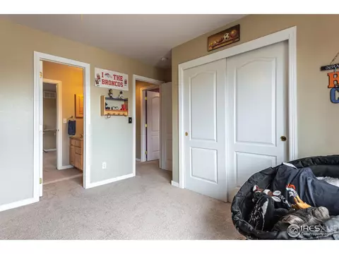 5447 Tiller Ct, Windsor, CO 80528 photo 24