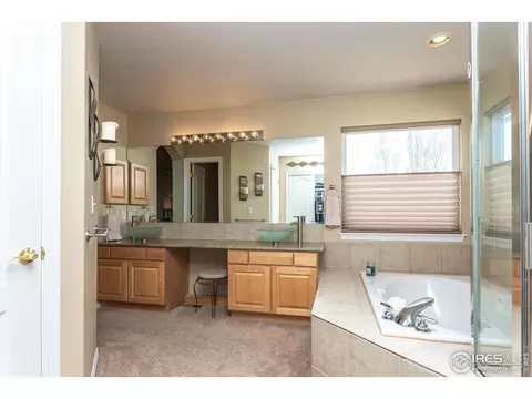 5447 Tiller Ct, Windsor, CO 80528 photo 23