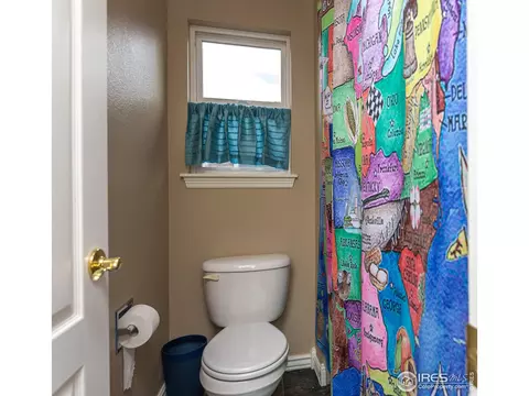 5447 Tiller Ct, Windsor, CO 80528 photo 27
