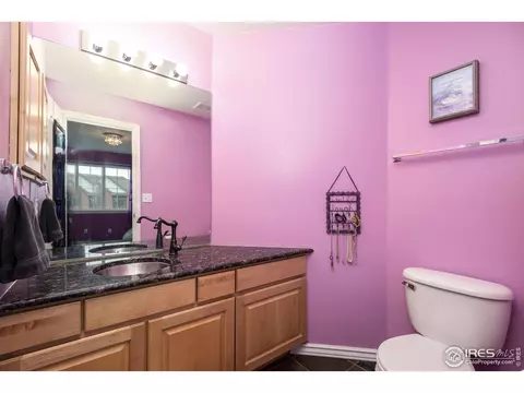 5447 Tiller Ct, Windsor, CO 80528 photo 29