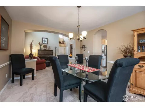 5447 Tiller Ct, Windsor, CO 80528 photo 7