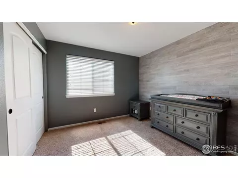 556 Park Edge Cir, Windsor, CO 80550 photo 22
