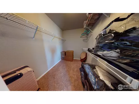 556 Park Edge Cir, Windsor, CO 80550 photo 28