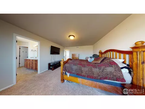 556 Park Edge Cir, Windsor, CO 80550 photo 18