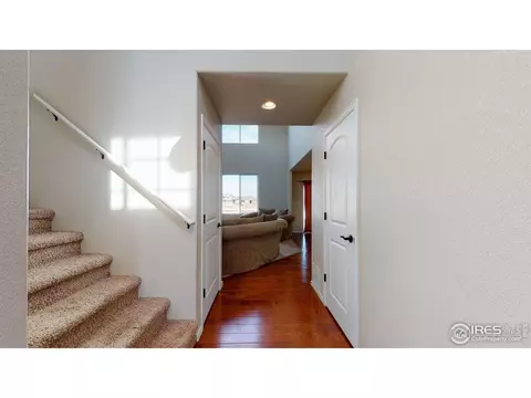 556 Park Edge Cir, Windsor, CO 80550 photo 31