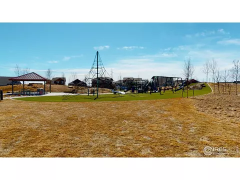 556 Park Edge Cir, Windsor, CO 80550 photo 2