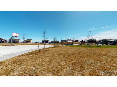 556 Park Edge Cir, Windsor, CO 80550 photo 29