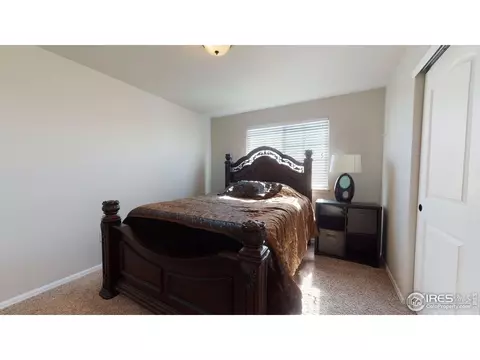 556 Park Edge Cir, Windsor, CO 80550 photo 21