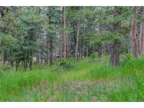 8773 S Ault Ln, Morrison, CO 80465 photo 28