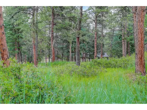 8773 S Ault Ln, Morrison, CO 80465 photo 37