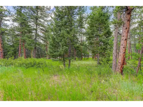 8773 S Ault Ln, Morrison, CO 80465 photo 36