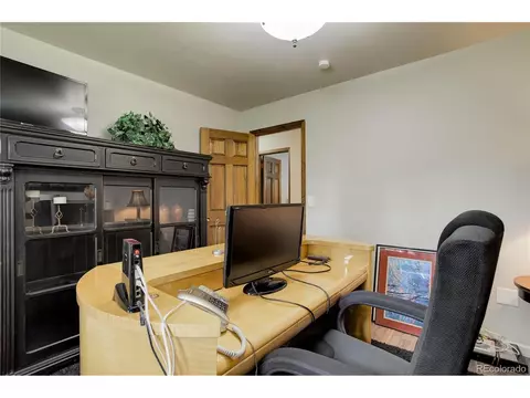 8773 S Ault Ln, Morrison, CO 80465 photo 19