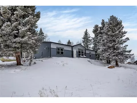 193 Minstrel Dr, Divide, CO 80814 photo 1