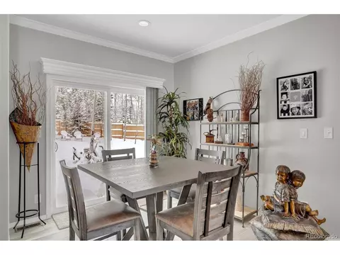 193 Minstrel Dr, Divide, CO 80814 photo 5
