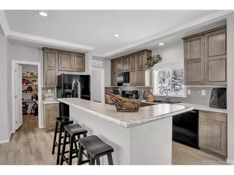 193 Minstrel Dr, Divide, CO 80814 photo 8