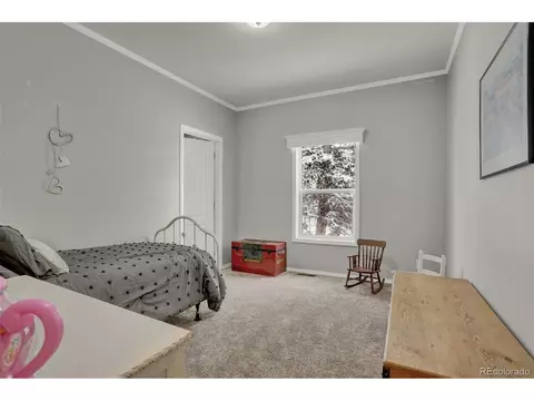 193 Minstrel Dr, Divide, CO 80814 photo 16