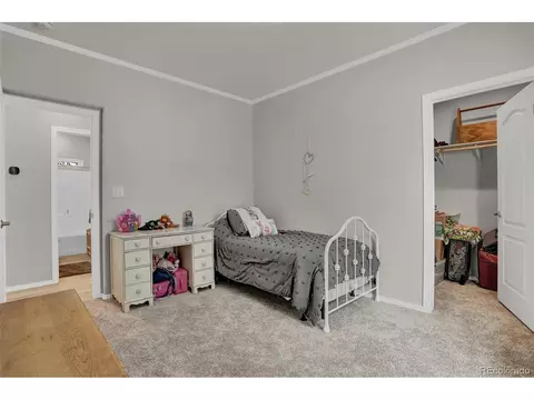 193 Minstrel Dr, Divide, CO 80814 photo 17