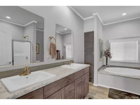 193 Minstrel Dr, Divide, CO 80814 photo 20
