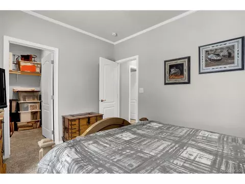 193 Minstrel Dr, Divide, CO 80814 photo 14