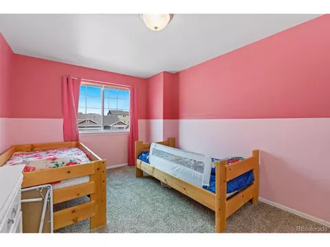 710 Mt Evans Ave, Severance, CO 80550 photo 22