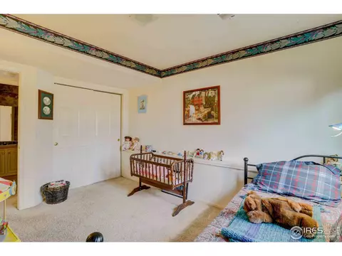 831 E 131st Pl, Thornton, CO 80241 photo 20