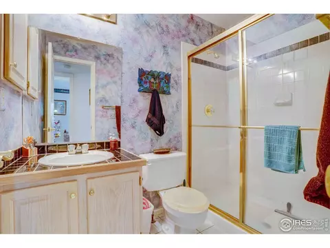831 E 131st Pl, Thornton, CO 80241 photo 17