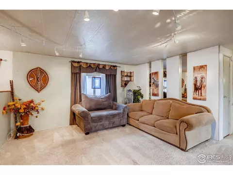 1100 Macdavidson Cir, Dacono, CO 80514 photo 4
