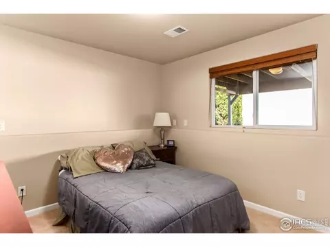 426 Sorrel Dr, Windsor, CO 80550 photo 24
