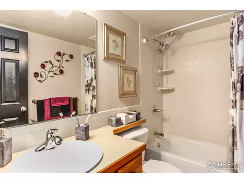 426 Sorrel Dr, Windsor, CO 80550 photo 27