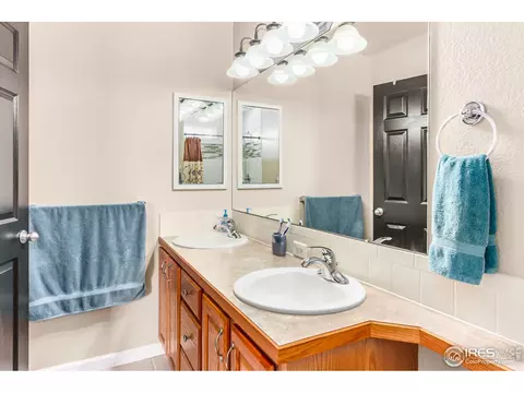 426 Sorrel Dr, Windsor, CO 80550 photo 15