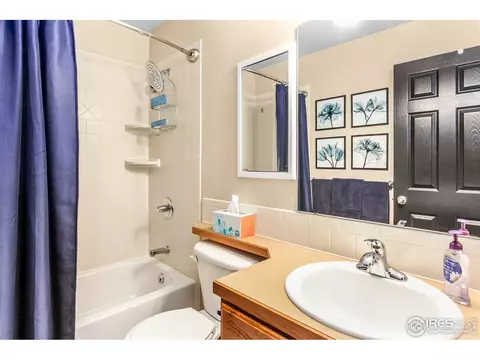 426 Sorrel Dr, Windsor, CO 80550 photo 19