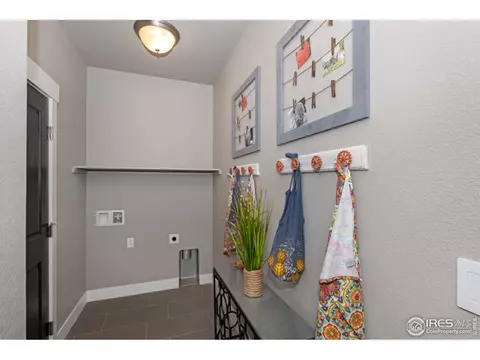 5631 Carmon Dr, Windsor, CO 80550 photo 27