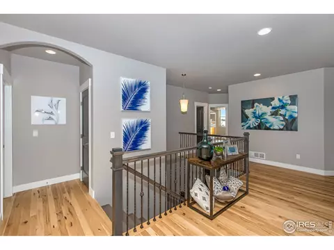 5631 Carmon Dr, Windsor, CO 80550 photo 14